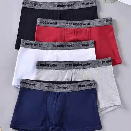 Boxer unicolor (5 und)